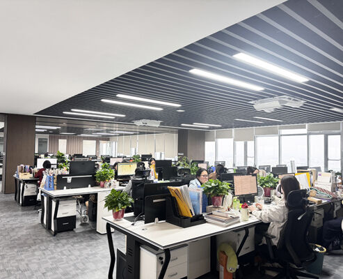 中国 SONSILL HOLDING 会社概要