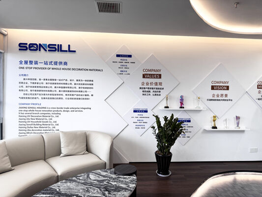 中国 SONSILL HOLDING 会社概要