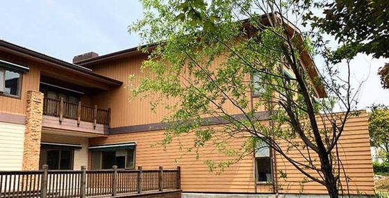 多数色のHDPE 148x21mm外部WPCの壁パネルの装飾材料