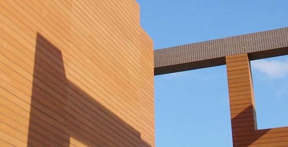 Coの放出の庭の装飾のために防水外部のWpcの壁パネルのクラッディング